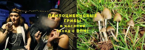 ешки Алексин
